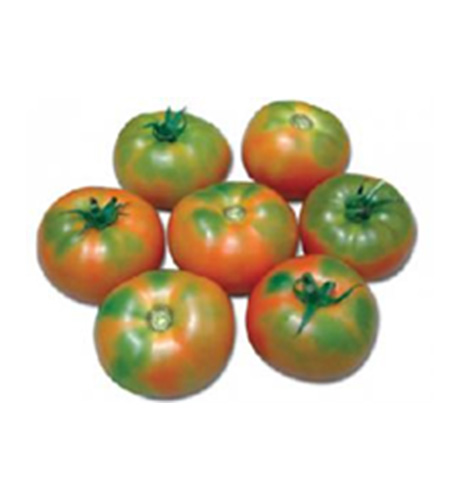 okra-1