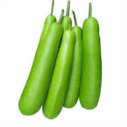 okra-1
