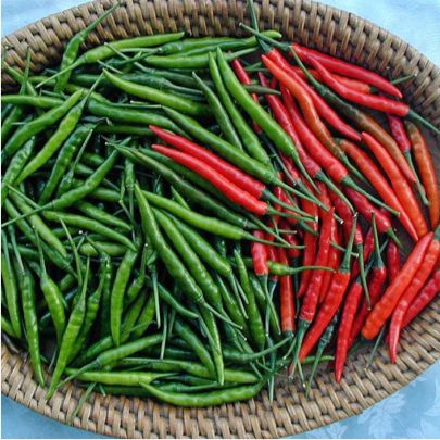 okra-1