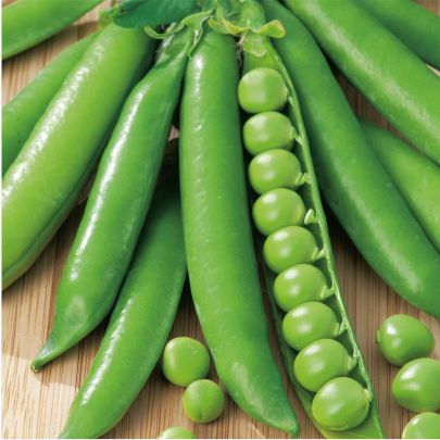 okra-1
