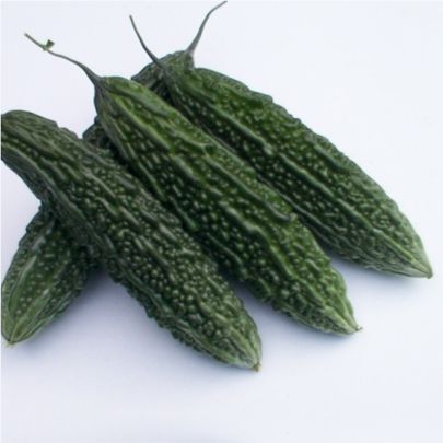 okra-1