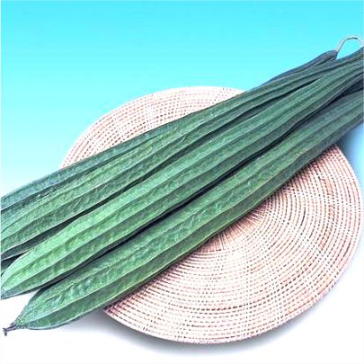 okra-1