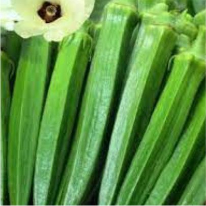 okra-1